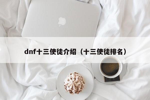 dnf十三使徒介绍(十三使徒排名)