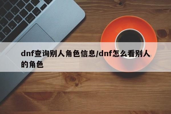 dnf查询别人角色信息/dnf怎么看别人的角色