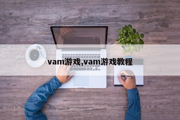 vam游戏,vam游戏教程
