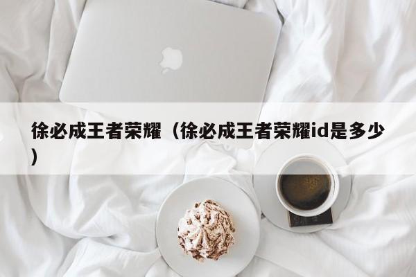徐必成王者荣耀(徐必成王者荣耀id是多少)
