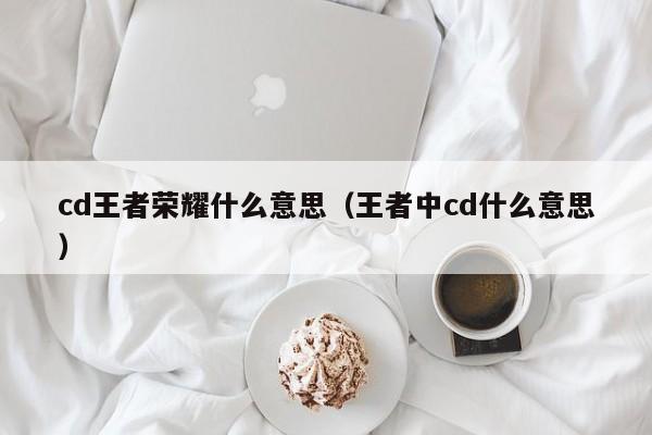 cd王者荣耀什么意思(王者中cd什么意思)