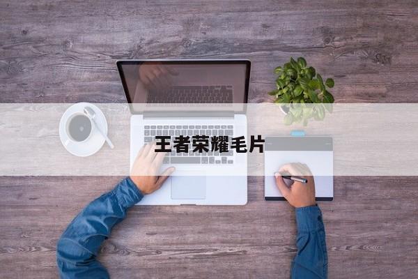 王者荣耀毛片