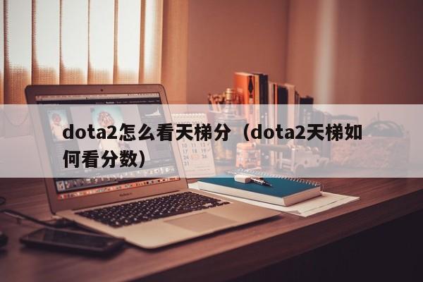 dota2怎么看天梯分(dota2天梯如何看分数)