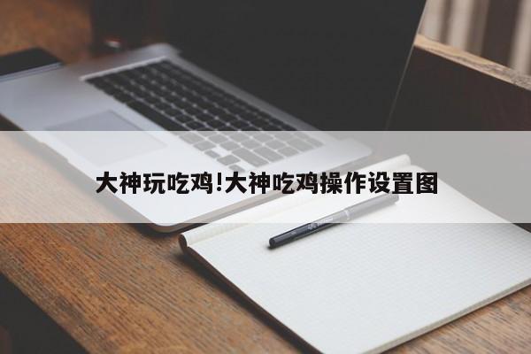 大神玩吃鸡!大神吃鸡操作设置图